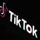 Trump request to delay TikTok ban law should be rejected, DOJ urges U.S. Supreme Court